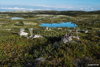 Bild på Tundra landscape Russia